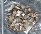 50 PLUS CROW SHARK TEETH - CRETACEOUS, TEXAS.