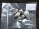 7 COWRIE SHELLS SHOWING ORIGINAL COLOUR - MIOCENE, FRANCE.