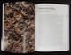 A HISTORY OF LIFE IN 100 FOSSILS BY TAYLOR AND O'DEA.  2015.