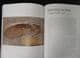 A HISTORY OF LIFE IN 100 FOSSILS BY TAYLOR AND O'DEA.  2015.