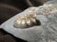 AMMONITE WITH PATCH OF DRUSY CRYSTALS - JURASSIC, LYME REGIS