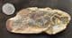 BEAUTIFUL FISH - ICAREALCYON MALAGASIUM - LOWER TRIASSIC, MADAGASCAR