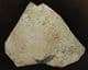 BEAUTIFUL SHOAL OF FISH - LATE JURASSIC / EARLY CRETACEOUS, N. E. CHINA.