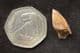 BEAUTIFULLY PRESERVED TOOTH OF THE ALBELIASAURID THEROPOD DINOSUA MANJUNGASAURUS FROM THE UPPER CRET