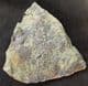 BRACHIOPODS AND TENTACULITES - ORDOVICIAN, SHROPSHIRE.