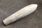 BULLET LIKE BELEMNITE FROM THE SPEETON CLAY OF YORKSHIRE.