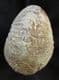 CADOCERAS SUBLAEVE - JURASSIC, KELLAWAYS ROCK, WILTSHIRE.