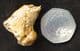 CAVE BEAR CLAW - PLEISTOCENE, AUSTRIA.