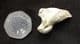 CAVE BEAR CLAW - PLEISTOCENE, DORDOGNE, FRANCE