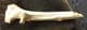 CAVE BEAR ULNA - PLEISTOCENE, ITALY.