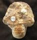 CENOCERAS LINEATUM - JURASSIC, FRANCE.