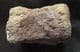 CHAMPSOSAURUS VERTEBRA - LATE CRETACEOUS, ALBERTA.