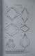 CHIMAEROID FISHES AND THEIR DEVELOPMENT BY BASHFORD DEAN 1906.