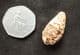CONE FROM A CONIFER TREE - EOCENE, MOROCCO.