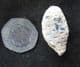 CONIFER CONE - EOCENE, MOROCCO.