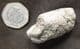 COPROLITE FULL OF FISH BONES - JURASSIC, LYME REGIS.