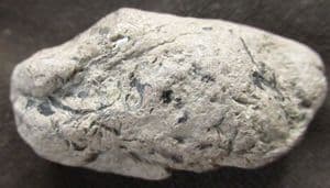 COPROLITE FULL OF FISH BONES - JURASSIC, LYME REGIS.