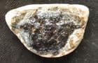 CRAB IN NODULE - LONDON CLAY, SEASALTER, KENT.