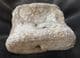 CROCODILE VERTEBRA - JURASSIC, OXFORDSHIRE.
