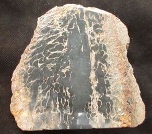 CUT AND POLISHED REPTILE BONE SHOWING UNUSUAL CELL STRUCTURE - KIMMERIDGE CLAY, OXFORDSHIRE.