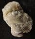 CYLINDRITES UNGULA - JURASSIC, GLOUCESTERSHIRE.