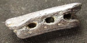 CYMBIUM EXCELSUM - EOCENE, HAMPSHIRE.