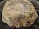 DINOSAUR VERTEBRA - KIMMERIDGE CLAY, WEYMOUTH.