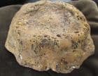 DINOSAUR VERTEBRA - KIMMERIDGE CLAY, WEYMOUTH.