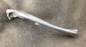 EASTERN COTTONTAIL TIBIA - LATE PLESITOCENE, FLORIDA.