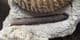 EXCEPTIONAL MUSEUM QUALITY PARKINSONIA WITH BELEMNITE120.00