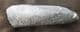 FIN SPINE OF A HUGE ACANTHODIAN - GYRACANTHUS FORMOSUS - COAL MEASURES LANARKSHIRE.