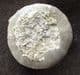 FINE CORNBRASH ECHINOID FROM GLOUCESTERSHIRE.