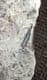 FINE ICHTHYOSAUR TOOTH - JURASSIC, GERMANY.