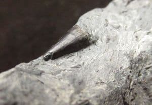 FINE ICHTHYOSAUR TOOTH - JURASSIC, GERMANY.