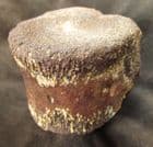 FINE PLIOSAUR TAIL VERTEBRA  - JURASSIC, OXFORDSHIRE.