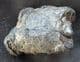 FISH SCALES / CRUSTACEAN BURROW LINING - GAULT CLAY, FOLKESTONE.