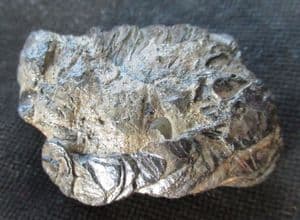 FISH SCALES / CRUSTACEAN BURROW LINING - GAULT CLAY, FOLKESTONE.