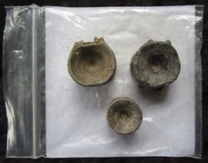 FISH VERTEBRAE - LONDON CLAY, ISLE OF SHEPPEY.