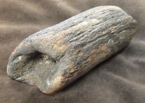 GIANT EXTINCT ELK - BEAM OF ANTLER - CROMER FOREST BED, NORFOLK.