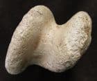 HORSE ANKLE BONE - PLEISTOCENE, OXFORDSHIRE.