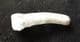 HYENA INCISOR - PLEISTOCENE, CZECH REPUBLIC.