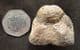 ICHTHYOSAUR SKULL BONE - JURASSIC, LYME REGIS.