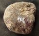 ICHTHYOSAUR SKULL BONE - JURASSIC, LYME REGIS.
