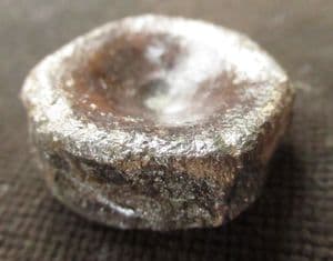 ICHTHYOSAUR TAIL VERTEBRA - JURASSIC, LYME REGIS.