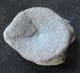 ICHTHYOSAUR VERTEBRA FROM HOCK CLIFF RIVER SEVERN, GLOUCESTERSHIRE.