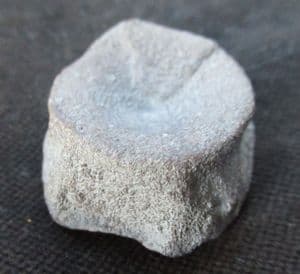 ICHTHYOSAUR VERTEBRA FROM HOCK CLIFF RIVER SEVERN, GLOUCESTERSHIRE.