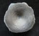 ICHTHYOSAUR VERTEBRA - JURASSIC, GLOUCESTERSHIRE.