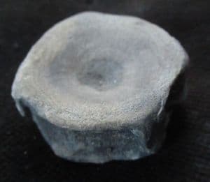 ICHTHYOSAUR VERTEBRA - JURASSIC, GLOUCESTERSHIRE.