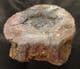 ICHTHYOSAUR VERTEBRA - KIMMERIDGE CLAY, OXFORDSHIRE.