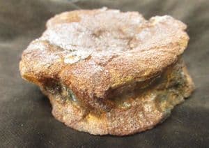 ICHTHYOSAUR VERTEBRA - KIMMERIDGE CLAY, OXFORDSHIRE.